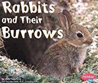 Rabbits and Their Burrows (Animal Homes)