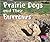 Prairie Dogs and Their Burrows (Animal Homes)
