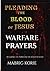Pleading the Blood of Jesus by Mabrig Korie