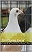 Hawaii Pet Show: 2014 Sprin...
