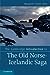 The Cambridge Introduction to the Old Norse-Icelandic Saga (Cambridge Introductions to Literature)