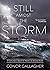 Still Amidst the Storm: A F...