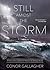 Still Amidst the Storm: A Family Man’s Search for Peace in an Anxious World