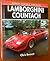 Lamborghini Countach (Osprey Classic Marques)
