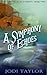 A Symphony of Echoes (The Chronicles of St Mary's, #2)