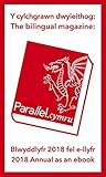 Parallel.cymru Bl...