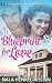 Blueprint for Love (Cranberry Hill Inn Romance #1)