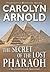 The Secret of the Lost Pharaoh (Matthew Connor Adventure, #2)