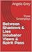 Between Shadows & Lies Incubator Views & Spirit Pass: Three Screenplays