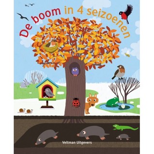 De boom in 4 seizoenen