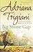 Big Stone Gap by Adriana Trigiani