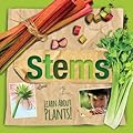 Stems