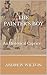 The Painter's Boy: An Histo...
