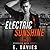 Electric Sunshine (Brooklyn Boys, #1)