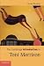 The Cambridge Introduction to Toni Morrison (Cambridge Introductions to Literature)