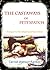 The Castaways of Pete'sPatch: A Sequel to The Adopting of Rosa Marie