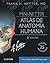 Mini Netter - Atlas De Anatomía Humana 6 Ed (Venta Exclusiva Para Argentina)