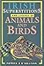 Irish Superstitions and Legends of Animals and Birds