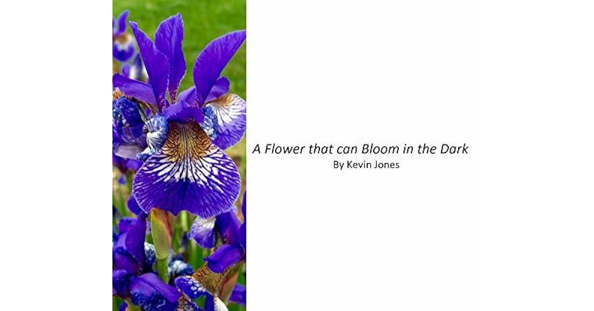 A Flower that can Bloom in the Dark by Kevin Jones