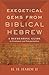 Exegetical Gems from Biblical Hebrew by H. H. Hardy II