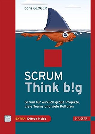 Scrum Think big (Hardcover)