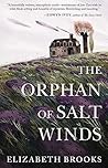 Book cover for The Orphan of Salt Winds