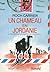 Un chameau en Jordanie