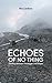 Echoes of No Thing by Nico Jenkins