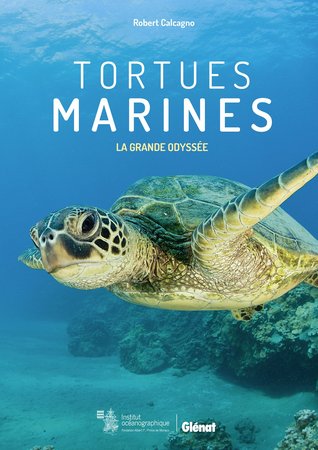 Tortues marines: La grande odyssée