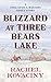 Blizzard at Three Bears Lak...