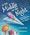 In the Middle of the Night by Laura Purdie  Salas
