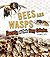 Bees and Wasps: Secrets of ...