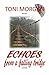 Echoes from a Falling Bridge: A Novel (Toni Morgan Trilogy Book 1)