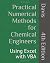 Practical Numerical Methods for Chemical Engineers: Using Excel with VBA