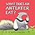 What Does an Anteater Eat?