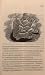Job (Bibel 2000, #18)