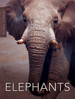 Elephants (Unknown Binding)