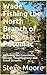 Wade Fishing the North Branch of the Potomac: Including the Casselman, Savage, Youghiogheny and Trout Streams (CatchGuide Series Book 2)