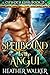 Spellbound by the Angui (Cipher's Kiss Book 2): A Scottish Highlander Time Travel Romance