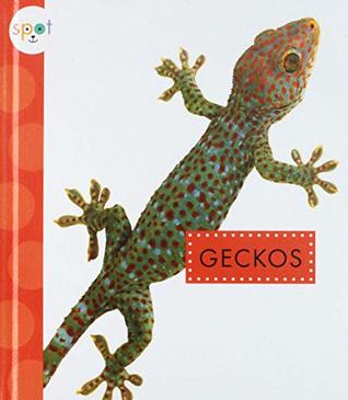 Geckos (Spot Backyard Animals)