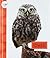 Owls (Spot Backyard Animals)