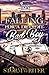 Falling For A Detroit Bad Boy by Storm Writer