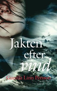 Jakten efter vind (Hardcover)