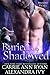 Buried and Shadowed (Brande...