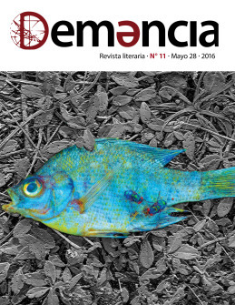 Revista Demencia 11