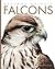 Falcons (Amazing Animals)