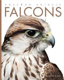 Falcons (Amazing Animals)