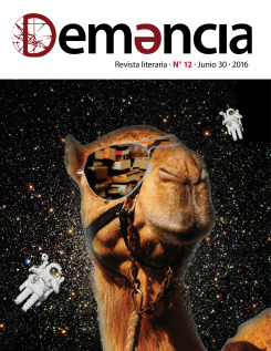 Revista Demencia 12