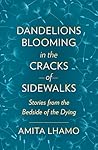 Dandelions Bloomi...