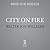 City on Fire (Metropolitan #2)